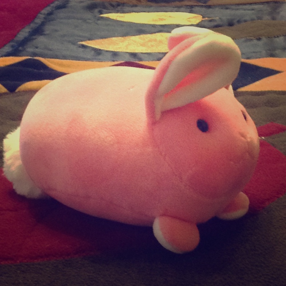 Pink Plush Bunny